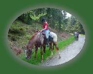 DSCF0768 * 2832 x 2128 * (1.43MB)