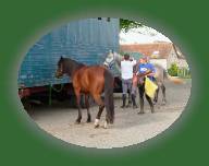 DSCF0774 * 2832 x 2128 * (1.39MB)