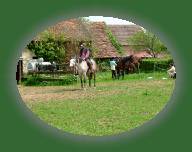 DSCF0776 * 2832 x 2128 * (1.44MB)