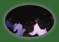 DSC00514 * 1748 x 1156 * (352KB)