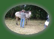 DSC00869 * 2048 x 1360 * (1.49MB)