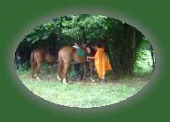 DSC00870 * 2048 x 1360 * (1.43MB)