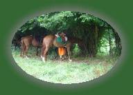 DSC00871 * 2048 x 1360 * (1.52MB)