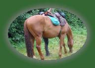 DSC00876 * 2048 x 1360 * (1.43MB)