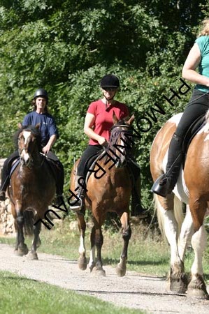 IMG_1882