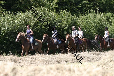 IMG_2000
