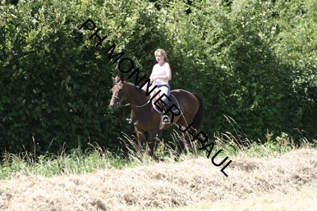 IMG_2022