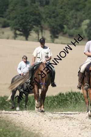 IMG_2070